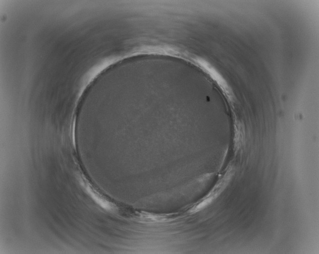 X0000084521272200702231125