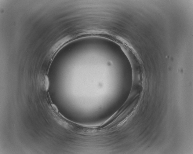 X0000084521273200702231125