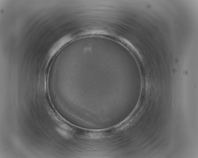 X0000084521274200702231125