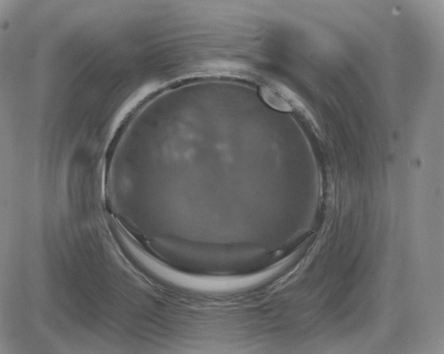 X0000084521275200702231125