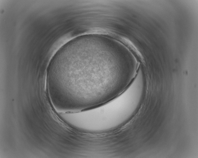 X0000084521276200702231125