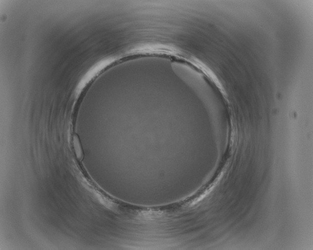 X0000084521277200702231125