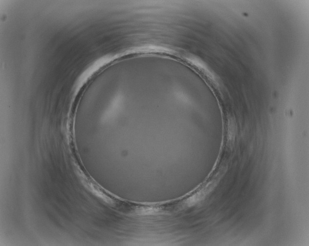 X0000084521278200702231125