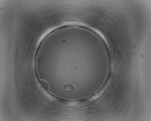 X0000084521279200702231125