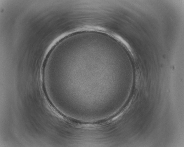 X0000084521280200702231125