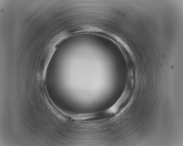 X0000084521281200702231125