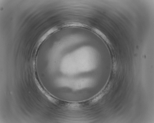 X0000084521282200702231125