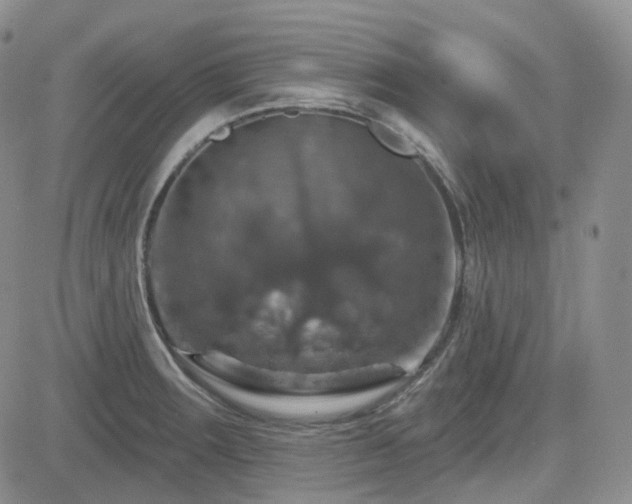 X0000084521283200702231125