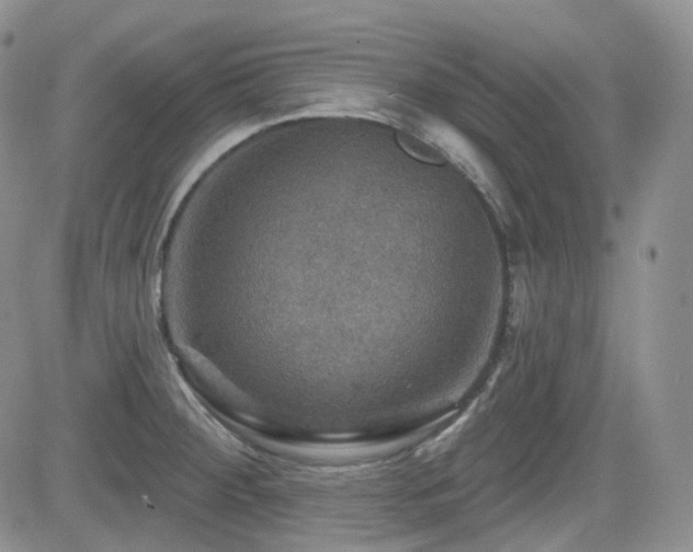 X0000084521284200702231125