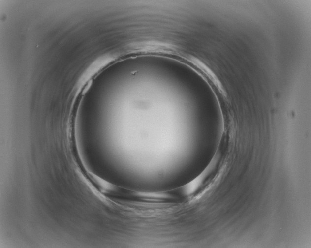 X0000084521285200702231125