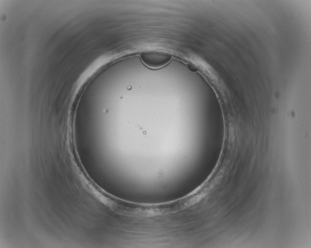 X0000084521286200702231125