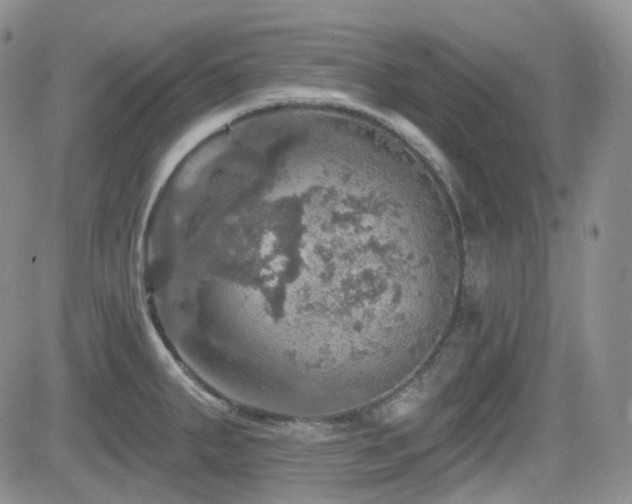 X0000084521287200702231125