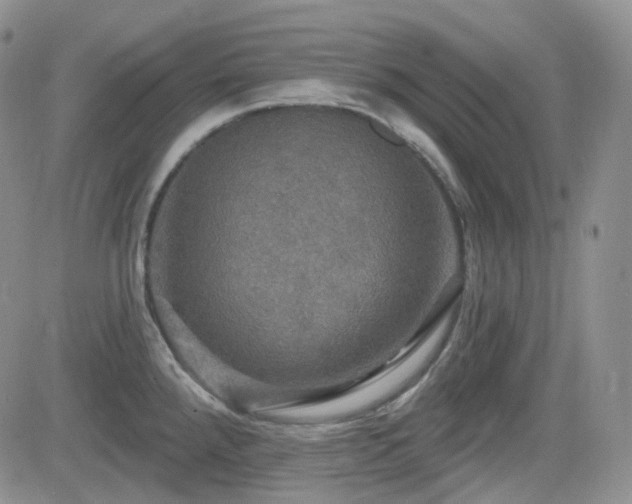 X0000084521288200702231125