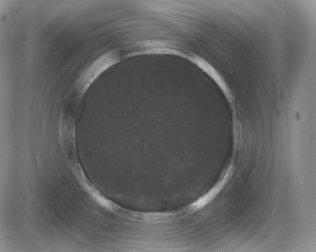 X0000084521289200702231125