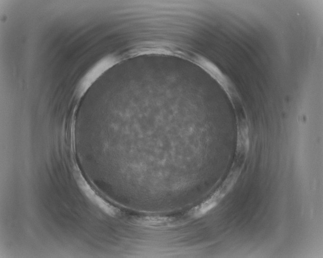 X0000084521290200702231125