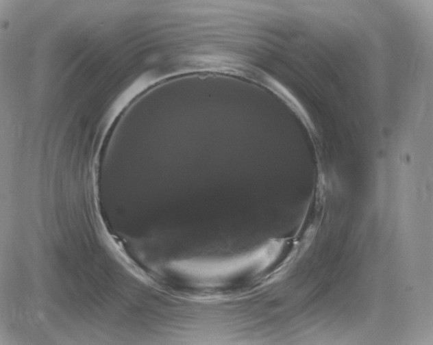 X0000084521291200702231125