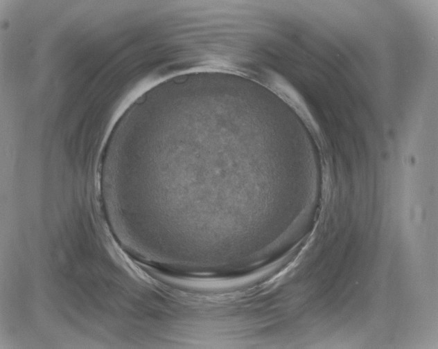 X0000084521292200702231125