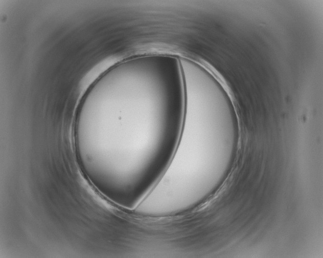 X0000084521293200702231125