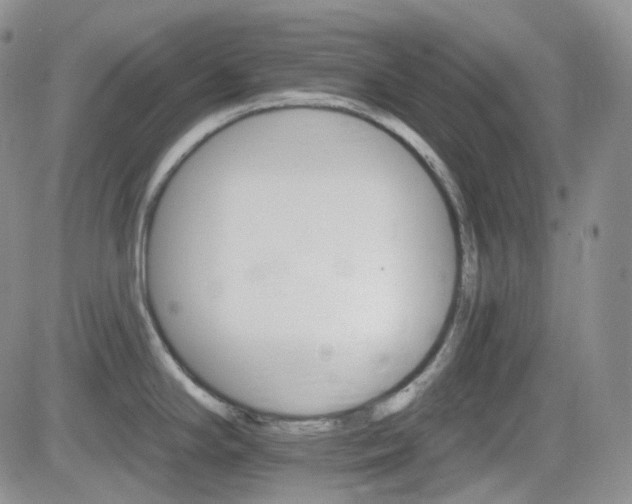 X0000084521294200702231125