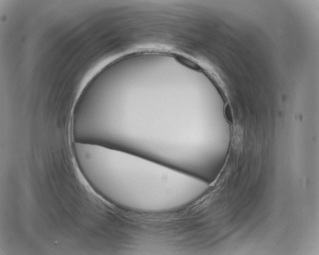 X0000084521295200702231125