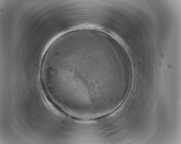 X0000084521296200702231125