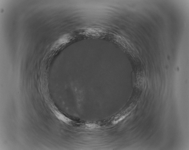 X0000084521297200702231124