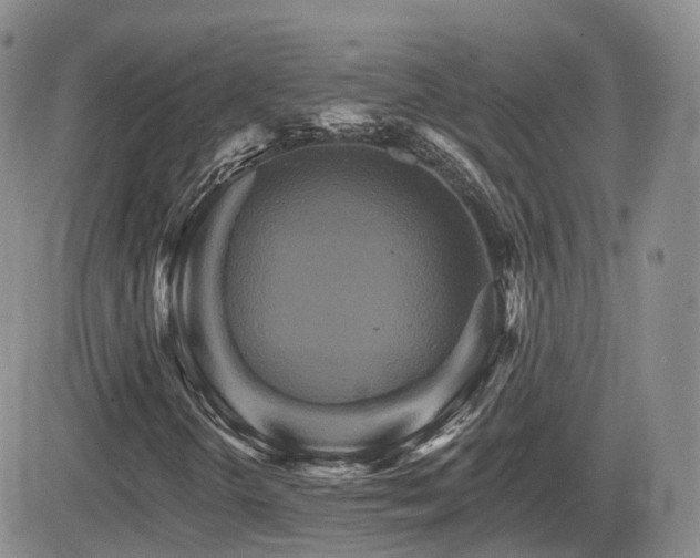 X0000084521298200702231124