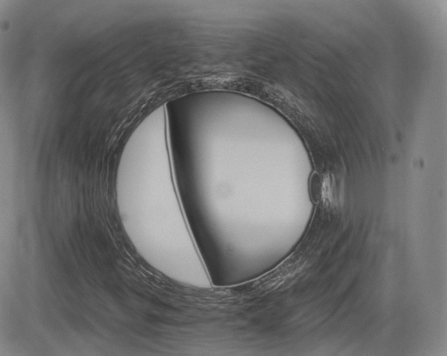 X0000084521299200702231124