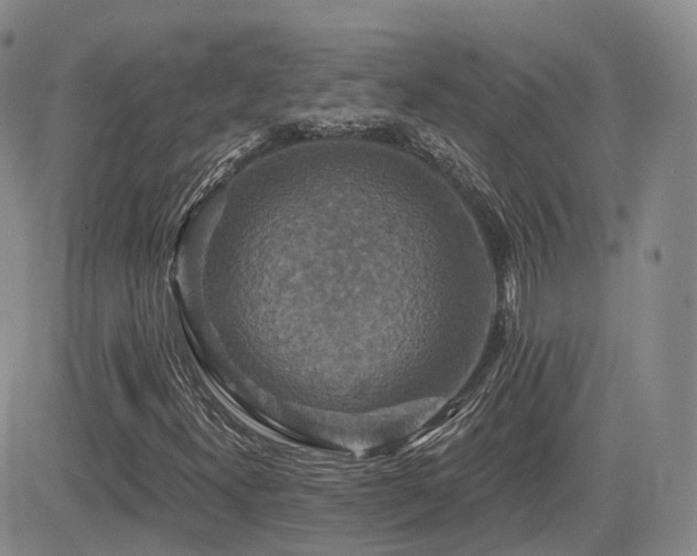 X0000084521300200702231124