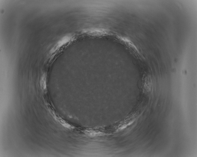 X0000084521301200702231124