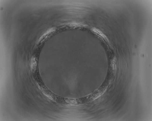 X0000084521302200702231124