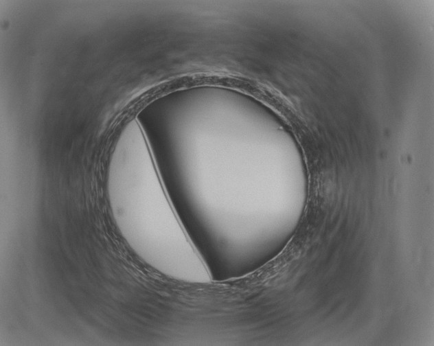 X0000084521303200702231124