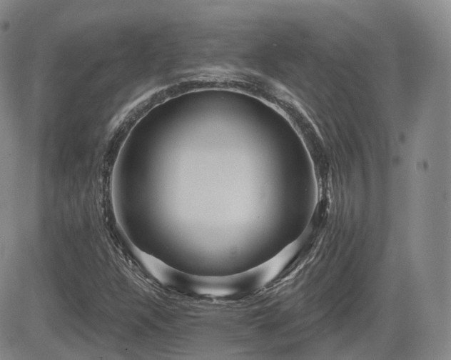 X0000084521304200702231124