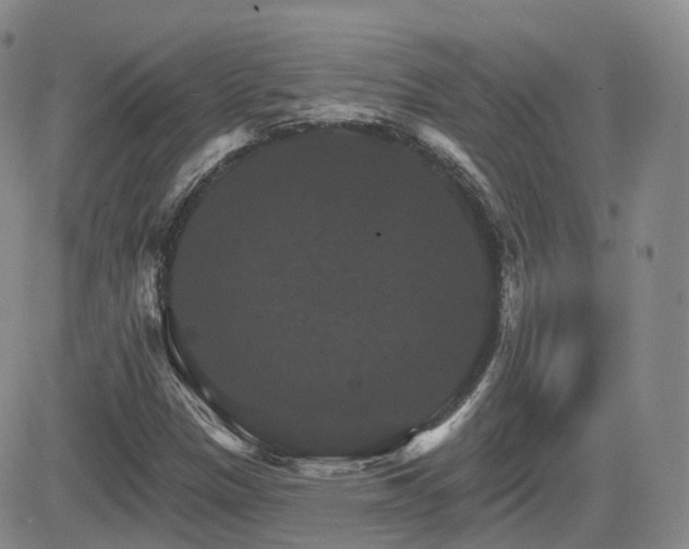 X0000084521305200702231124