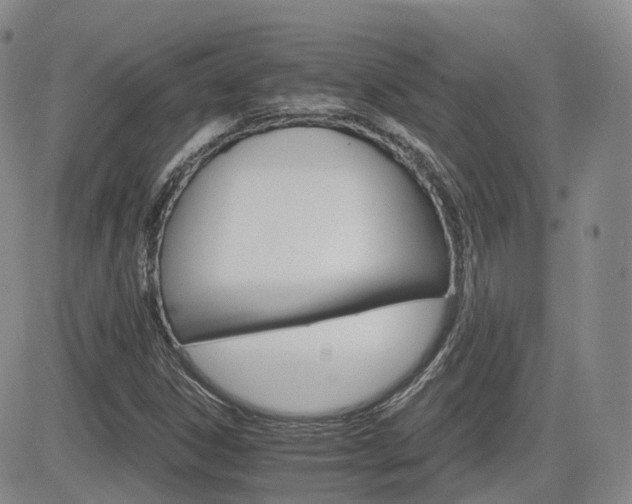 X0000084521306200702231124