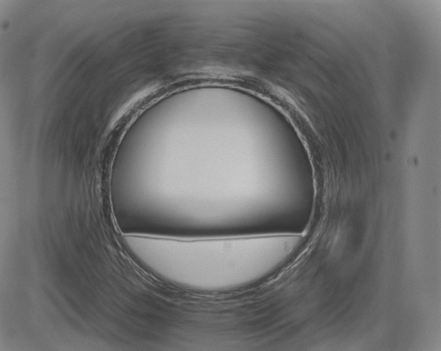 X0000084521307200702231124