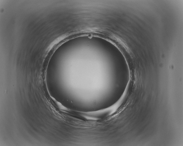 X0000084521308200702231124