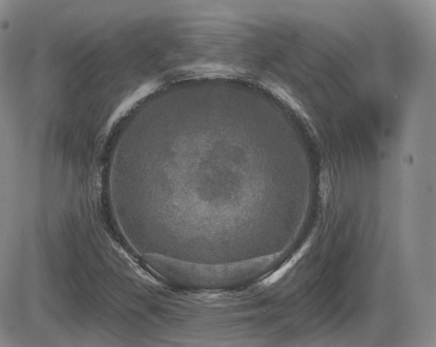 X0000084521309200702231124