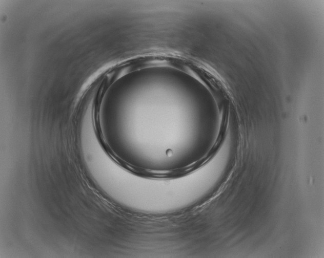 X0000084521310200702231124