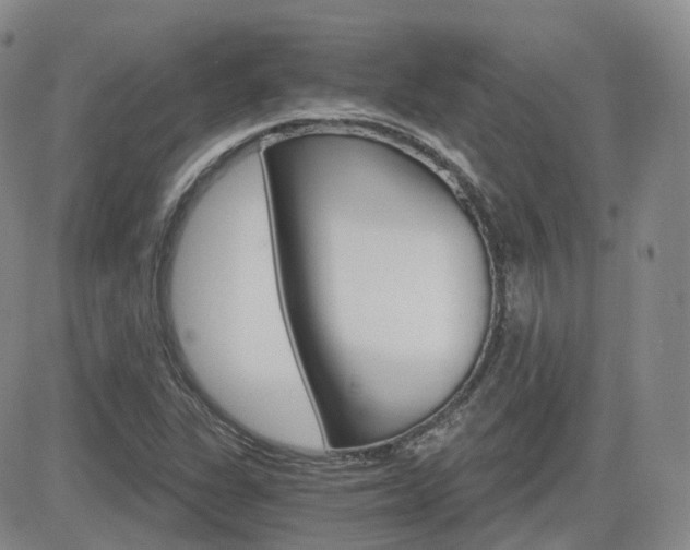 X0000084521311200702231124