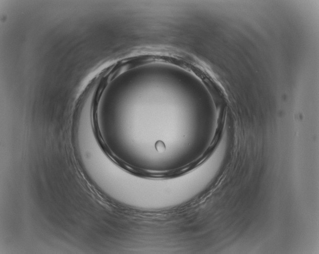 X0000084521312200702231124