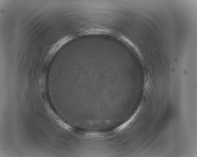 X0000084521313200702231124