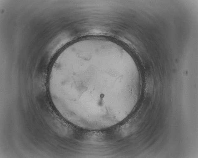 X0000084521314200702231124