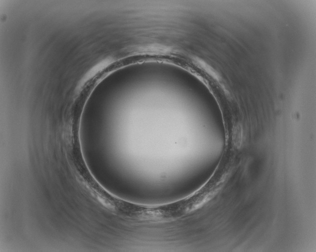 X0000084521315200702231124