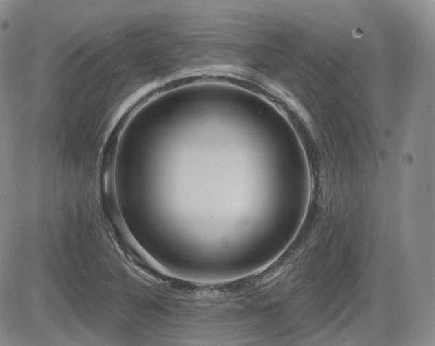 X0000084521316200702231124