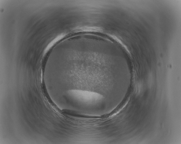 X0000084521317200702231124