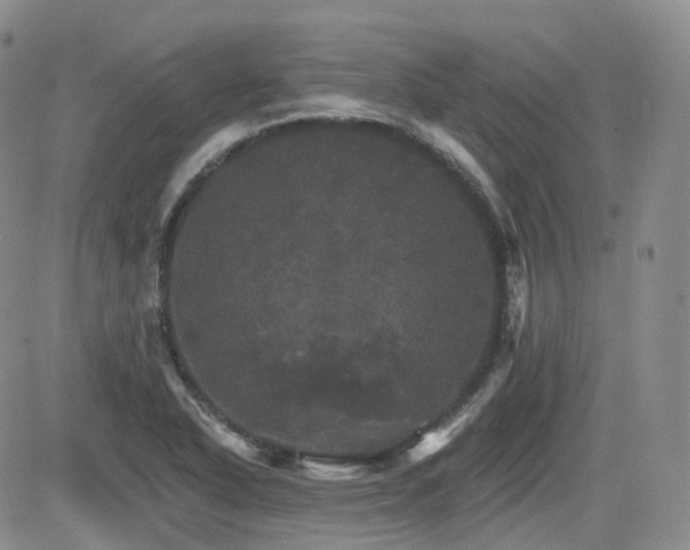 X0000084521318200702231124