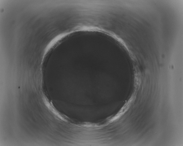 X0000084521319200702231124