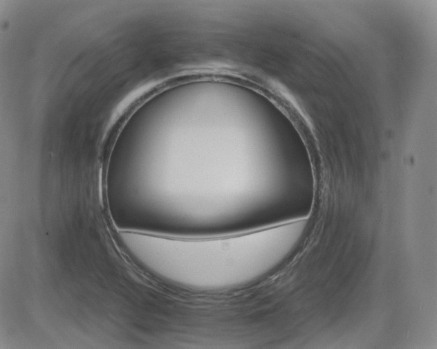 X0000084521320200702231124