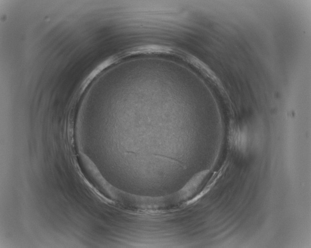 X0000084521321200702231124